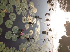 iphone_upload_pic-红山村