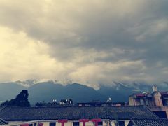 -喵屿·大理花园猫咖