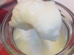 龙桥顺德双皮奶-龙桥私厨·姜花菊花过桥鱼·顺德菜(容桂店)