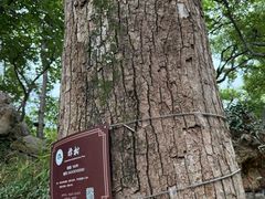 -绮园景区