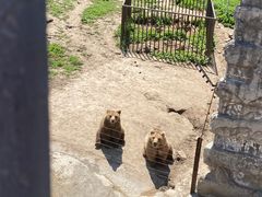 -哈尔滨北方森林动物园