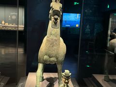 -广西壮族自治区博物馆