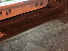 -新疆伊宁远征餐厅