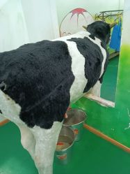 -新方向童乐小镇·儿童主题乐园·职业角色扮演(南昌店)