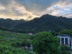 -龙坞茶村