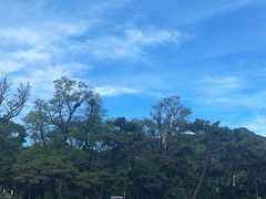 -虹鳟鱼一条街