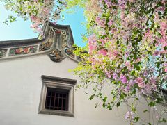 -深圳国际园林花卉博览园