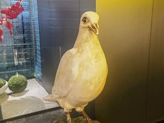 -琬苑鸽庄·川粤融合菜(解放碑总店)