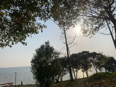 -滆湖低碳生态公园