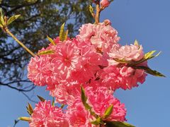 -朝阳公园