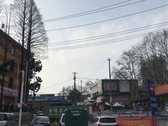 -金陵花卉交易市场