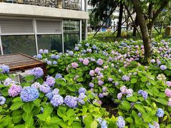 -北外滩滨江绿地