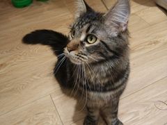 -Pets First伊珊娜洗护·精致美容·家庭式寄养(新会路店)