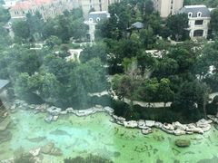 -青岛鑫江温德姆酒店