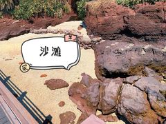 -涠洲岛火山国家地质公园