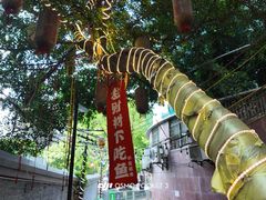 -聂发财重庆江湖菜(解放碑店)