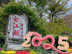 -广州白江湖森林公园