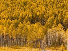 -北极村旅游风景区