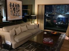 -新加坡乌节希尔顿酒店 (SG Clean)