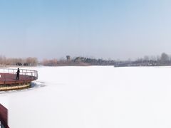 -东郊湿地公园