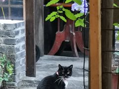 -下面馆