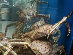 -鸿星花园酒家(银亿家园店)