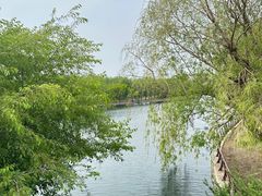 -长春公园(普阳街道)