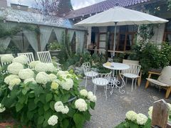 -Jo's Garden