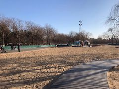 -大兴滨河森林公园