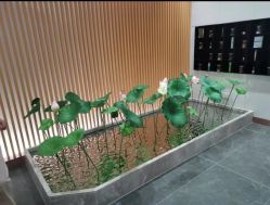 点击看大图 -圣梦亲体美肤生活馆