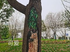 -堤角公园