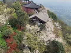 -杭州半山国家森林公园