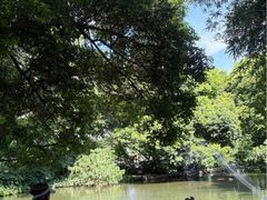 -成都市活水公园