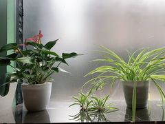 -青山上品咖啡·日式法兰绒手冲(高岛屋百货店)
