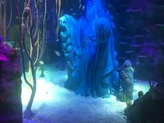 -沈阳海洋探索中心