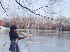 -银树楼(紫玉山庄东区店)