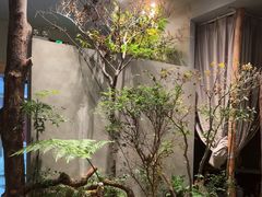 -森SPA·泰式按摩·精油Massage(宝安中心店)