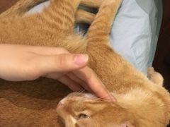 -默迹咖啡馆