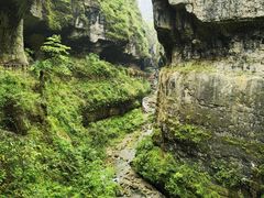 -鹿院坪生态旅游景区