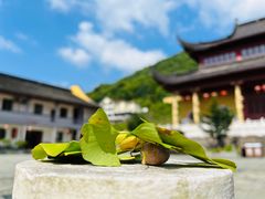 -黄贤森林公园