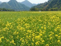 -绩溪龙川景区