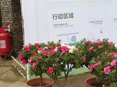 -秀丽东方
