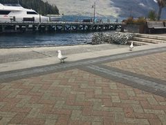 -同乐酒楼(皇后镇店)