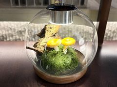 -芸山季·云南野生菌火锅(人民广场来福士店)