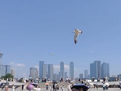 -星海广场