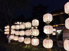 -武汉园博园(武汉自然博物馆)