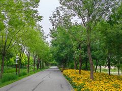 -东郊湿地公园