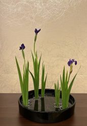 -今日陶艺(富力广场店)