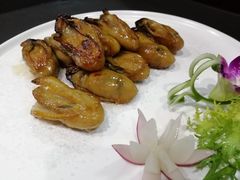 香煎金蚝皇-龍雨堂粤菜食府(福兴大厦店)
