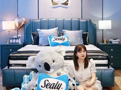 -红星美凯龙(上海沪南店)